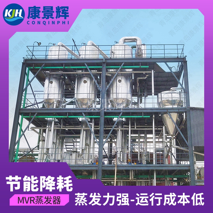 甘氨酸结晶母液蒸发系统