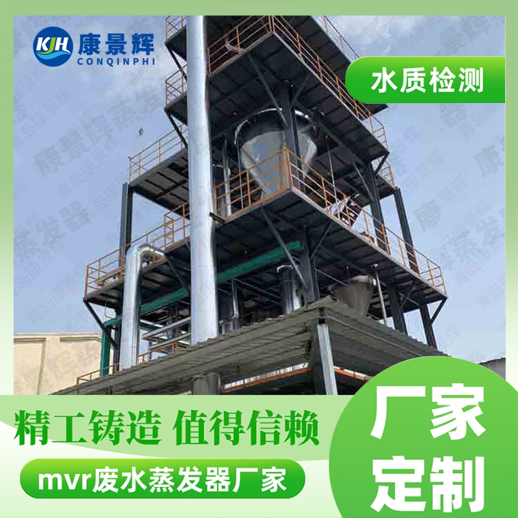 硫酸镍 MVR 蒸发结晶系统
