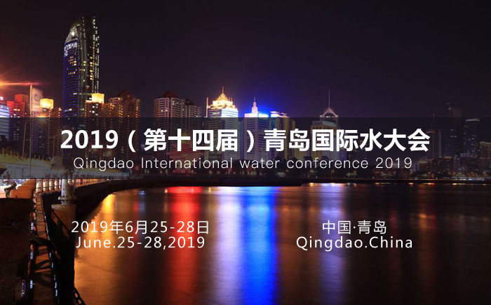康景辉参加国际水大会